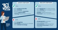 infographic pros and cons of small and large companies
